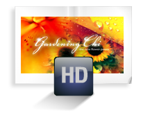 fullscreen HD video digital brochure / eBrochure